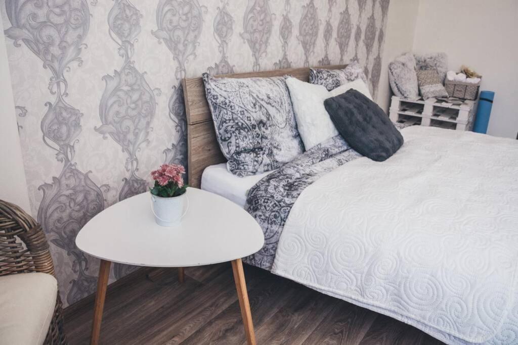 Stylovy Apartman V Centru Nachoda 外观 照片