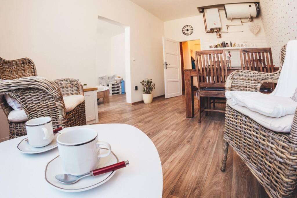 Stylovy Apartman V Centru Nachoda 外观 照片