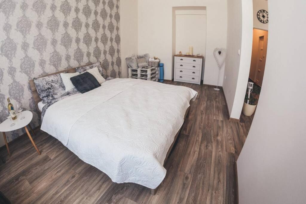 Stylovy Apartman V Centru Nachoda 外观 照片